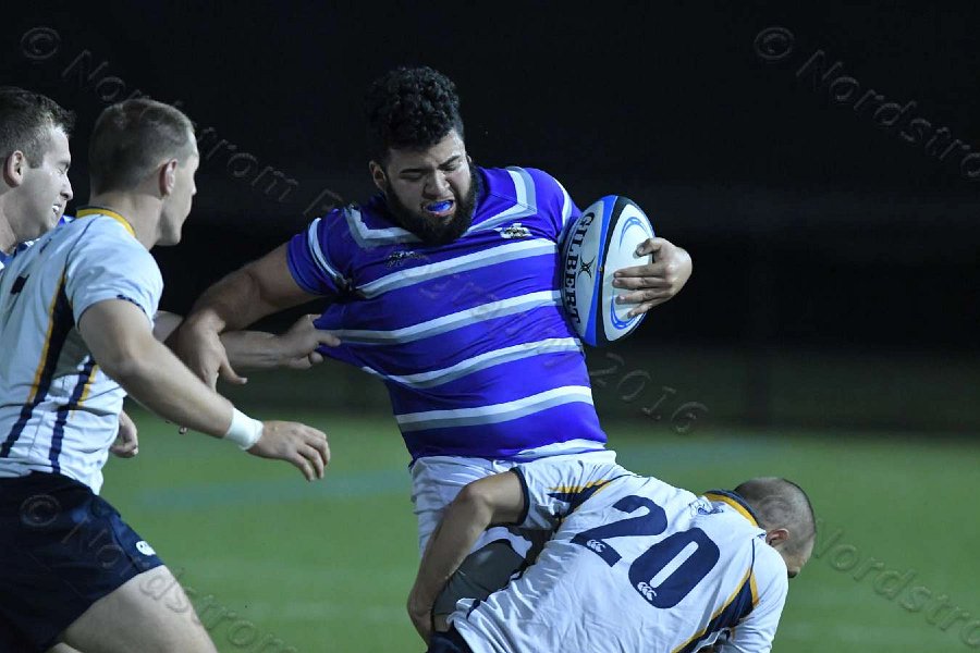 Wheaton Men\'s Rugby vs Mass Maritime.  Photo by Keith Nordstrom